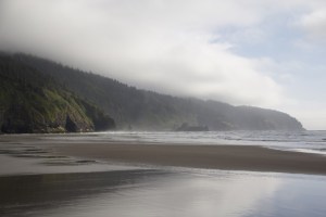 photo by A. Dollerson